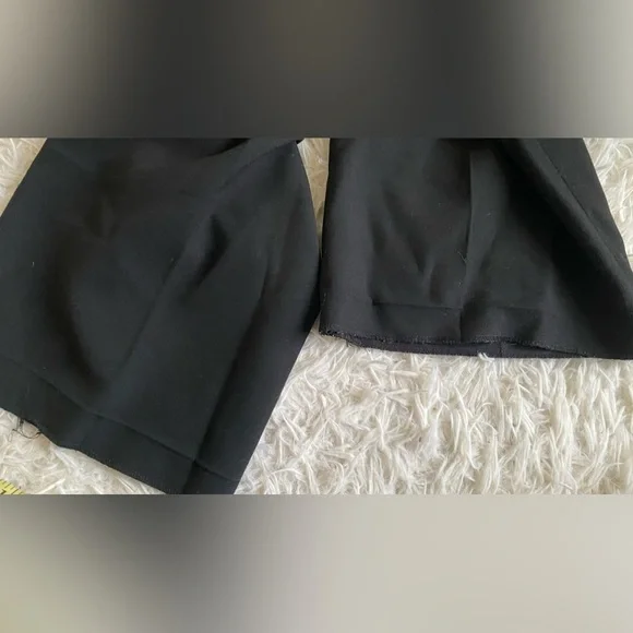 Aritzia Babaton Pleated Pant —TALL - Picture 10 of 11